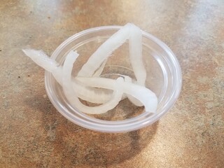Fototapeta na wymiar onions in a plastic container