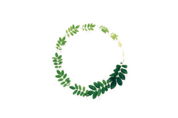 Beautiful wreath of fresh branches, a beautiful frame of branches in a circle leaf maturation, growth in nature