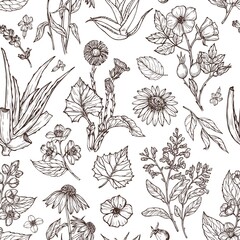 Medicinal plants sketch pattern. Jasmine, echinacea, aloe vera, rosehip, salvia. Vector vintage background. Monochrome background for advertising, cosmetics, medicine, textiles, packaging.
 