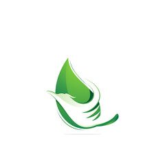 Natural eagle logo design