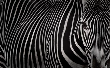 Crédence de cuisine en verre imprimé Zèbre zebra skin pattern