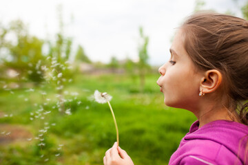 Little beautiful girl holds spring dandelion in her hand. Summer fun, sweet girl dandelion on the meadow