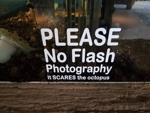 Please No Flash Photography It Scares The Octopus Sign On Aquarium