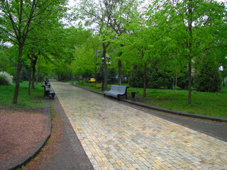Park after rain