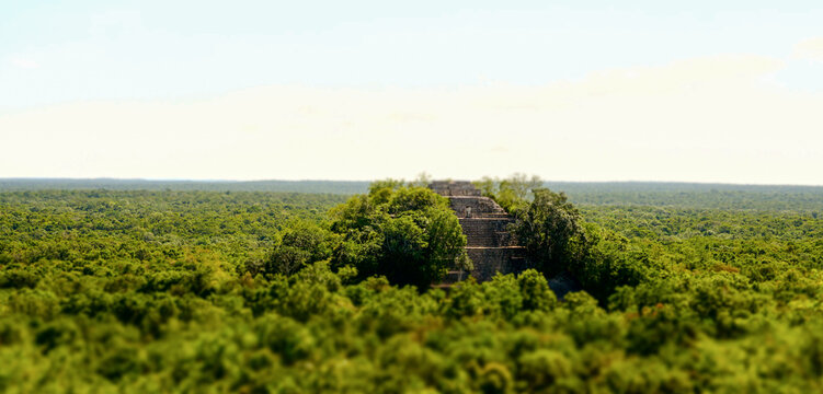 Ancient Maya ruins of Calakmul in the thick jungle and tree landscapes on a sunny day in the Yucat&aacute;n Peninsula of Mexico.