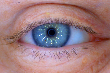 blue human eye