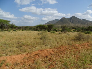 landscape in africa