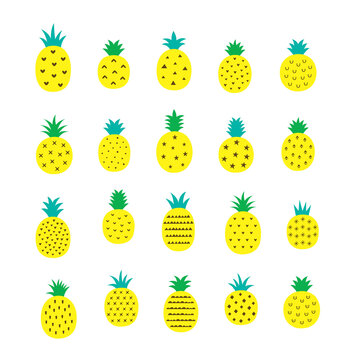 pineapple vector illustration. fresh pineapple isolated. pineapple graphic cartoon.