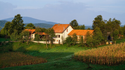 Fototapeta na wymiar rural landscape with village