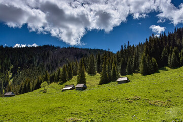 Szałasy na Polanie Kominiarskiej - Tatry Dolina Lejowa, ścieżka nad reglami