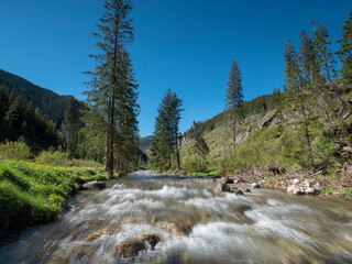 Chochołowki Potok - Dolina Chochołowska Tatry Zachodnie