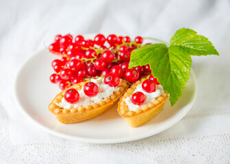 Tartlets with fresh red currant