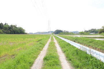 田舎道