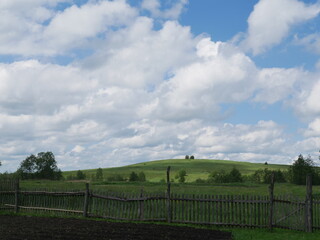 Fototapeta premium green field and blue sky