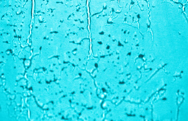 Defocused water splashes shadow on blue background blur backdrop. Raindrop wet texture