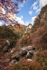 【2019年】山梨県甲府市・昇仙峡