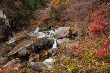 【2019年】山梨県甲府市・昇仙峡