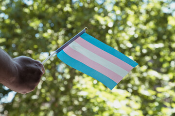 Hand with a trans small flag - obrazy, fototapety, plakaty