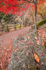 【2019年】山梨県甲府市・昇仙峡