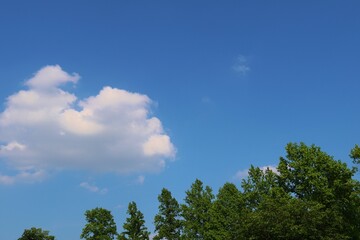 新緑　青空　爽やか　6月　風景　