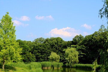 Obraz premium 新緑 空 池 風景 茨城