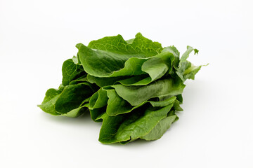 Romaine lettuce on white background