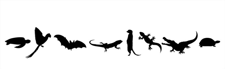 Collection of vector silhouette of animals on white background. Symbol of nature and zoo garden.