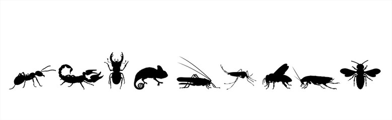 Collection of vector silhouette of animals on white background. Symbol of nature and insect.