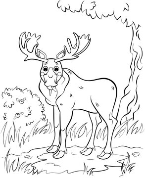 Coloring page outline of cute cartoon moose. Vector image with forest background. Coloring book of forest wild animals for kids
