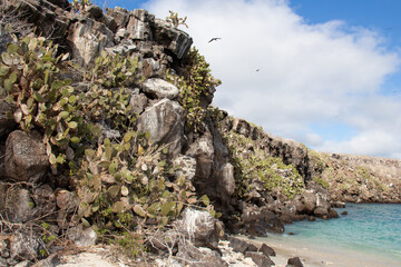 Galapagos island sea beach cliff