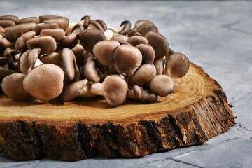 Fresh oyster mushrooms on a wooden board, on a gray background. Copy space, photo for grocery stores.