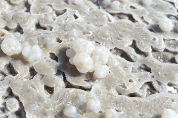Dead Sea salt natural mineral formation at the Dead Sea