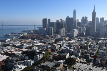 Aerial view of San Francisco skyline, Financial District and Transamerica Pyramid from the top of Coit Tower on sunny day, California, United States. 