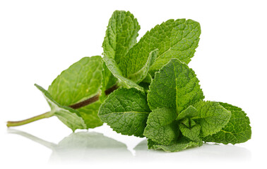 Fresh leaf mint green herbs, isolated on white background. Stock photo.