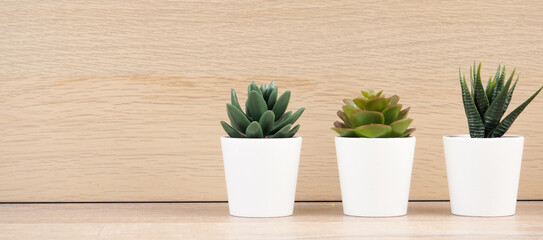 banner Closeup group of cactus in white plastic pot on blurred wood desk and wood wall textured background with copy space