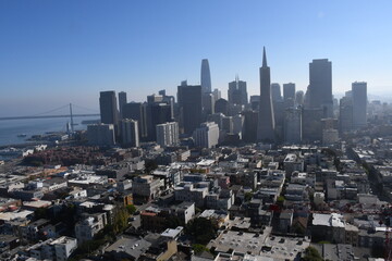 Aerial view of San Francisco skyline, Financial District and Transamerica Pyramid from the top of Coit Tower on sunny day, California, United States. 