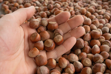 Close up hazelnuts. Hazelnut composition and backgorund. Turkish hazelnuts. organic natural food. taking nuts with his hand.