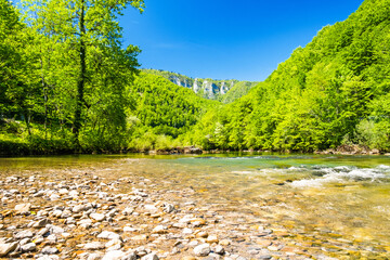 Croatia, beautiful green nature landscape in spring, canyon of Kupa river in Gorski kotar
