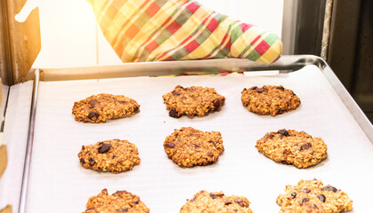 Handmade oatmeal cookies fresh from the oven