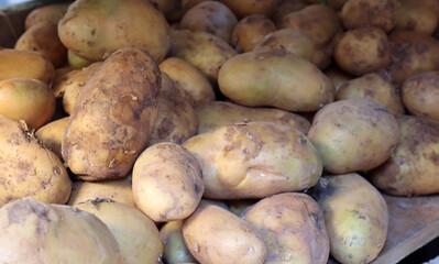 Great potatoes. Fresh potatoes on market shelves.