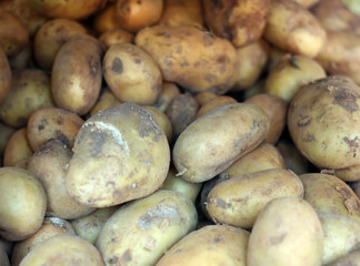 Great potatoes. Fresh potatoes on market shelves.