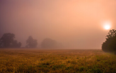 Sunrise in the mist over the field in the countryside.