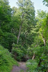 Karst landscape Sohodol Valley