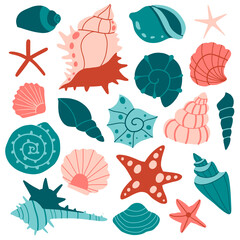 BIg set of various sea shells and starfish