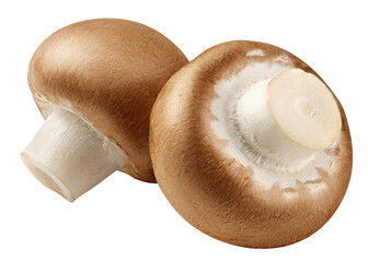 champignon, mushroom, isolated on white background, clipping path, full depth of field