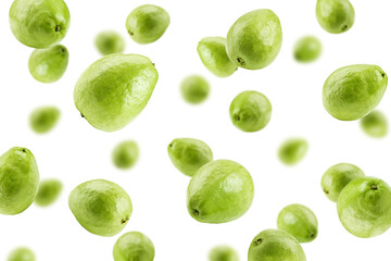 Falling guava isolated on white background, selective focus
