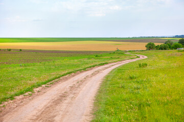 Fototapeta na wymiar country road and agricultural fields , summer rustic landscape 