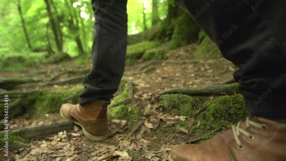 Poster walk steps on roots in the forest in nature with moss and leaves and green trees slow motion worm's-