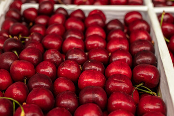 ripe cherries lies in a box in beautiful flat rows. Plenty of delicious juicy berries. High quality photo