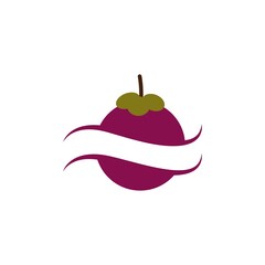 mangosteen fruit vector design template illustration
